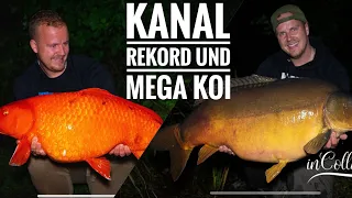 Kanal Rekord und Mega Koi // Karpfenangeln am Kanal // Karpfen Ultras // Videotagebuch 108