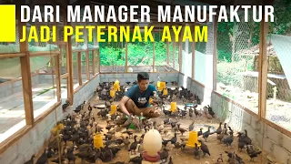 Tinggalkan Posisi Manajer dan Memilih Jadi Peternak Ayam Di Kampung