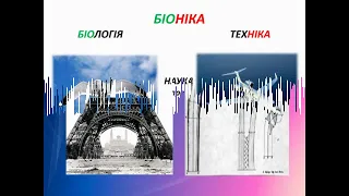 біоніка для учнів та студентів