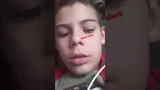 rip bébé requin👶🦈😂