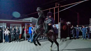 @Aydemir.Shumahov | Кабардинская лошадь | Kabardian horse |
