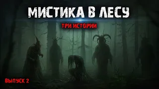 Мистика в лесу (3в1) Выпуск №2.