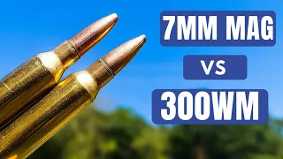 7MM Mag vs 300 Win Mag [Which is Better???]