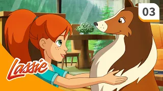 Lassie - Season 1 - Episode 3 - Gold Rush! - FULL EPISODE