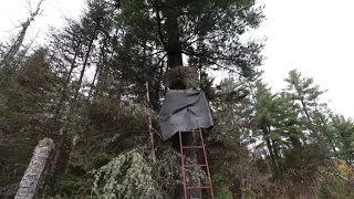 THE TENT. Deer Stand Weekend. Getting everything ready.