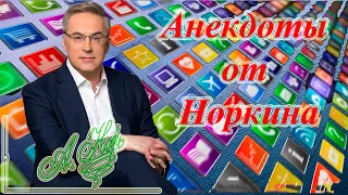 Анекдоты от Норкина. Лёлик! Ко-мне!!!