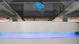 3D holographic display