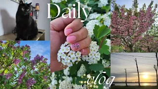 Comenzi Avon și Oriflame, o plimbare prin Mamaia, multă culoare în jur, ce am mai mâncat|Daily Vlog