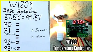 W1209 100% Best Temperature Setting For Egg Incubator || Temperature Controller Wiring & Setting