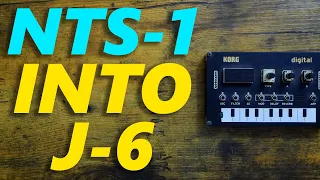 NTS-1 Turns Into A J-6! (Major Announcement Coming!)