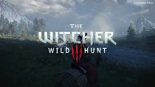 The Witcher 3: Wild Hunt - Skellige Views - One hour of Ambient Music for Study