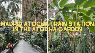 Madrid travel tips for the Madrid Atocha train station in the Atocha Garden (Spain travel guide!)