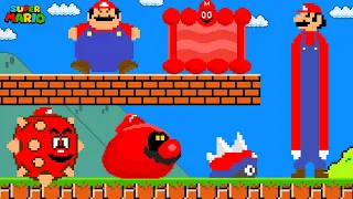 Super Mario Bros. but there are MORE CustomTransformations Mario!