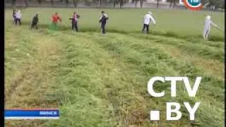 Лукашенко косит траву