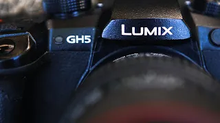 Panasonic GH5 in Low Light?