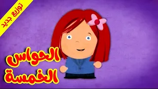 الحواس الخمسة - قناة بلبل BulBul TV