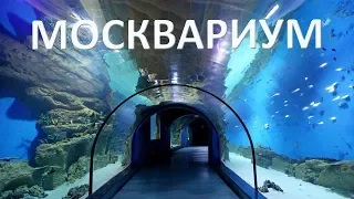 Москвариум на ВДНХ.