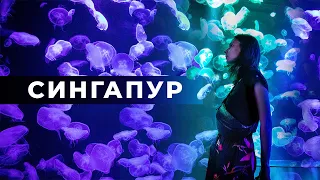 Сингапур достопримечательности за 1-3 дня БЛОГ