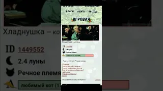 У меня новый перс??????? || ~•Хладнушка•~ CatWar ||