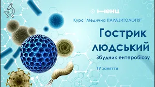 Гострик людський