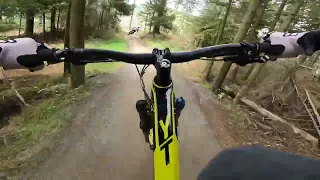 Waldautobahn Bikepark Willingen