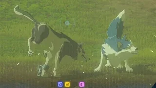 Zelda: Breath of the Wild - Wolf Link plays with his friends gone wrong