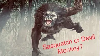 Sasquatch encounter from the White Mountains National Forest #bigfoot #whitemountains #newhampshire