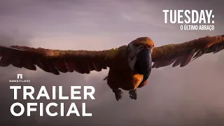 Tuesday: O Último Abraço | Trailer Oficial - 04 de julho, exclusivamente nos cinemas