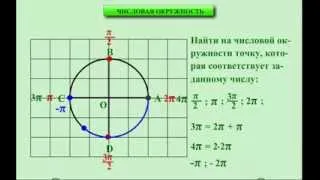 10 класс. Алгебра. Числовая окружность.