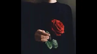 Я подарю тобі розу