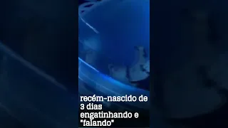 recém-nascido de 3 dias engatinhando e "falando"