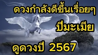 ดูดวงประจำปี 2567  สำหรับคนที่เกิดปีมะเมีย  (ปีม้า) ใจเย็นๆน้า ดวงกำลังเริ่มดีขึ้น