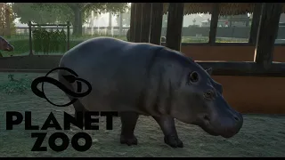 Mein erster Zoo | Planet Zoo | S01 #1