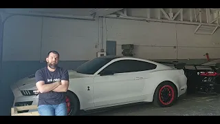 Why I believe I deserve the new Ford Mustang GTD!