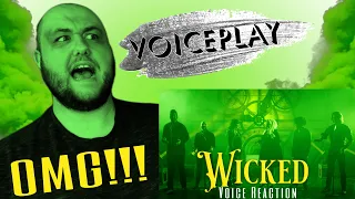 Voiceplay "Wicked Medley" | Voice Teacher Reaction