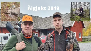 Älgjakt med löshund i småland