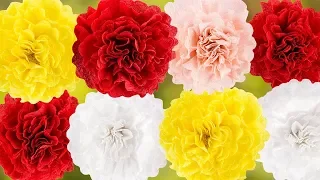 Ideen mit Herz - Nelken aus Krepp-Papier basteln - DIY Blüten - Bunte Papierblumen