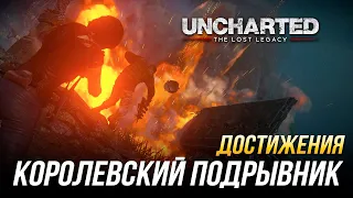 Достижения Uncharted: The Lost Legacy - Королевский подрывник