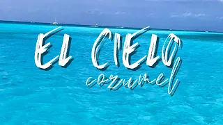 🔴 EL CIELO ⭐️ Cozumel desde Playa del Carmen- REY TRIPS👑 (travel film)Go ProHero9🌴