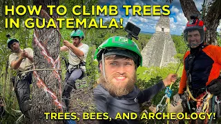 Getting SWARMED by BEES While Climbing Trees in Guatemala!