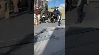 Disney’s horse drawn carriage