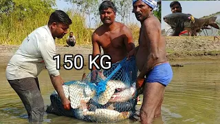Traditional Fishing Techniques | Amazing Big Fishes | Village Fishing