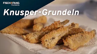 Fisch-Küche: Knusper-Grundeln mit Jörg Strehlow