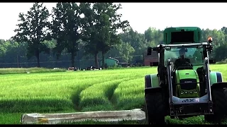 Claas Celtis 456 RX & Disco 340 - Koszenie łąk 2016