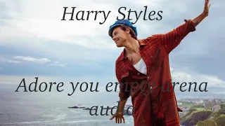 Harry Styles | Adore you Empty arena audio