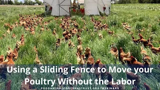 Using a Sliding Fence to Move your Poultry Without the Labor