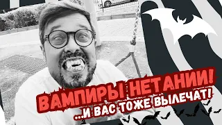 Вампиры Нетании!!! Сезонное обострение! Это излечимо?