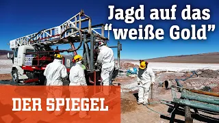 Argentinien und das Lithium: Jagd auf das »weiße Gold« | DER SPIEGEL