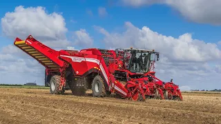 GRIMME VENTOR 4150 | ARRACHAGE DE POMMES DE TERRE XXL  🥔🥔