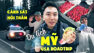 Du lịch Mỹ tự túc #2: Thẳng tiến vào rừng sâu giữa đêm |USA trip